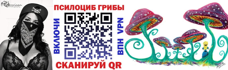 маркетплейс телеграм  Западная Двина  Псилоцибиновые грибы Cubensis 